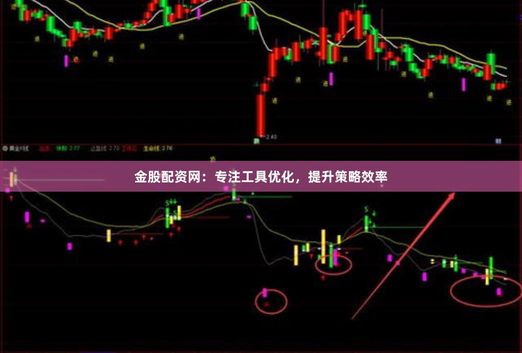 金股配资网：专注工具优化，提升策略效率